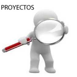 proyectos (Custom)